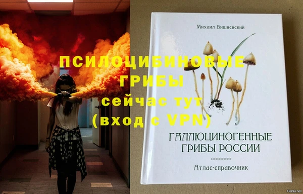 jwh Богородск