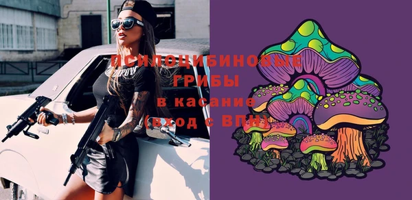 амф Богданович